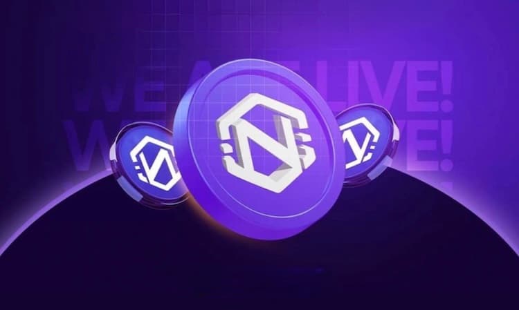 How to Deposit and Withdraw cNGN (Stablecoin) on Payluk